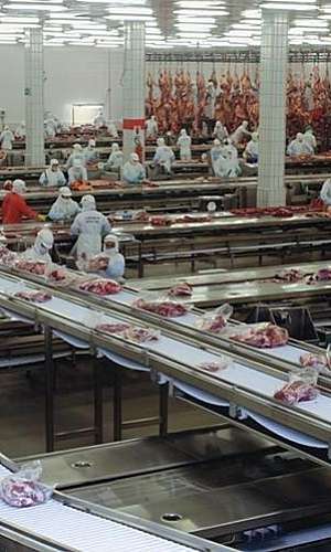 Fabricante de pisos para frigorifico Fabricante de pisos para frigorifico